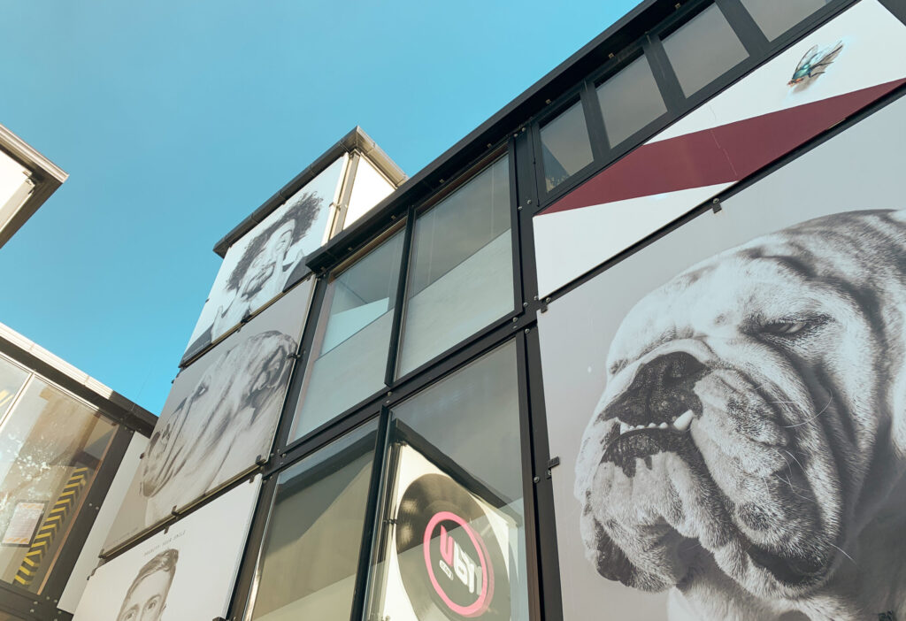 window blinds in Auckland